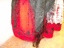 Exposición de indumentaria y costumbres 2009